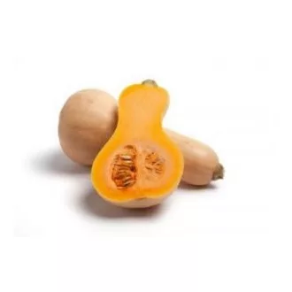 Sütőtök Orange ZKI - 500 szem