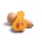 Sütőtök Orange ZKI - 500 szem