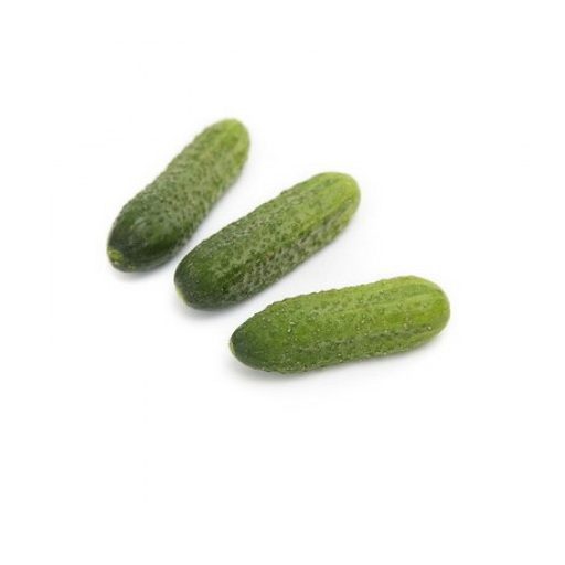 Uborka Sound F1 (12-302) RZ - 1000 szem