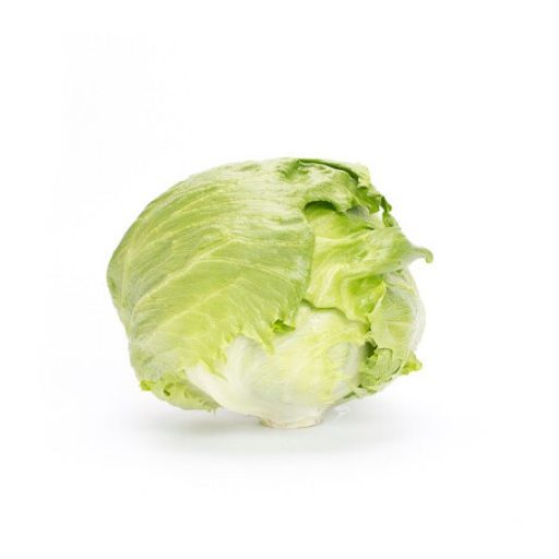 Saláta Jasperinas (45-193) RZ Jégsaláta - 1000 szem