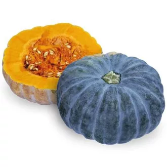 Sütőtök Amanda F1 ZFW - 1000 szem