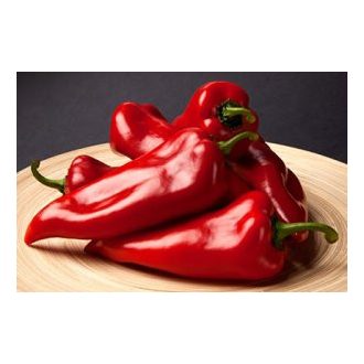 Paprika Kapirex F1 Orosco - 500 szem