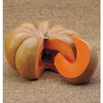 Sütőtök Musquee D'Hiver De Provance ZFW - 100g