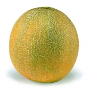 Sárgadinnye Aikido F1 Sakata - 100 szem