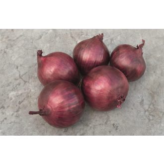 Vöröshagyma Red Rum F1 ( Lila ) Bejo - 10.000 szem