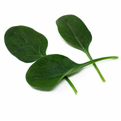 Spenót Aspin F1 ZFW - 25.000 szem