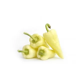 Paprika Creta F1 Fehér T.V. - 500 szem