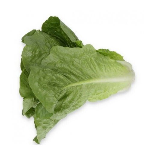 Saláta Nicodemus (41-CO7164) RZ Római - 1000 szem