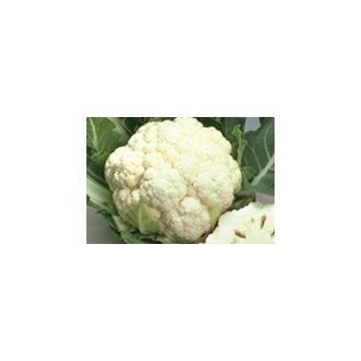 Karfiol White Excel F1 Sakata - 2500 szem