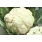 Karfiol White Excel F1 Sakata - 2500 szem