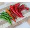 Paprika Poseidon Chili ZFW - 50 szem