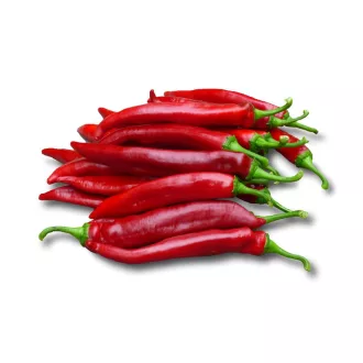 Paprika Hírös F1 Fűszer ZKI - 10.000 szem