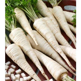 Petrezselyem Troja Semo - 100g
