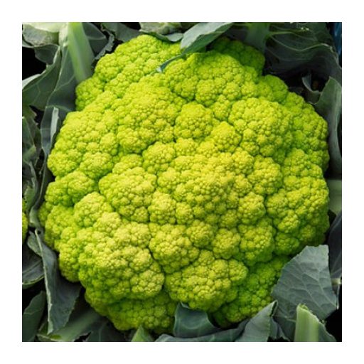 Karfiol Vitaverde F1 (26-807) Precíziós Mag RZ - 1000 szem