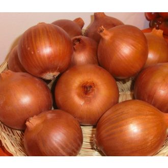 Vöröshagyma Elenka F1 - 250.000 szem