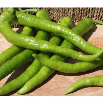 Paprika Persenk F1 ZFW - 2g