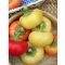 Paprika Evita SzentesiMag - 50g