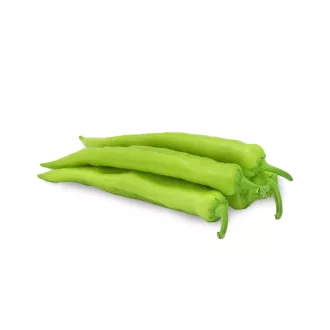 Paprika Namib F1 ( 09272 ) ZKI - 1000 szem