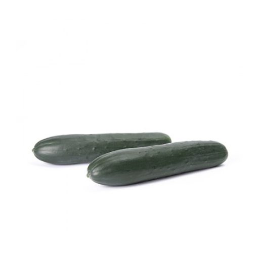 Uborka Touareg F1 (22-953) RZ - 100 szem