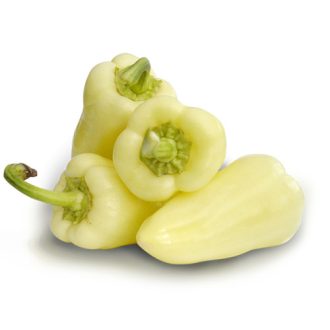 Paprika Albaregia ZKI - 1000 szem