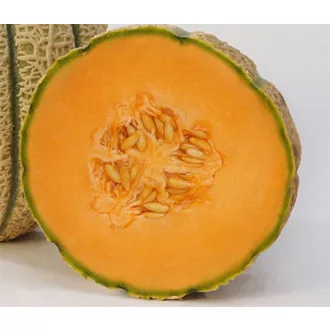 Sárgadinnye Perseo F1 Syngenta - 500 szem