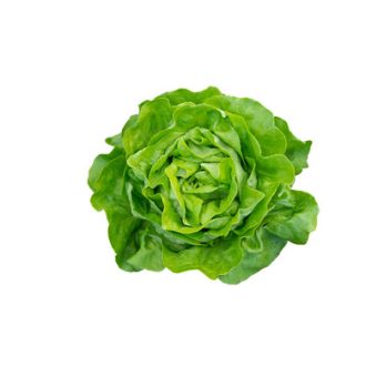 Saláta Birgit Pillírozott Nunhems - 5000 szem