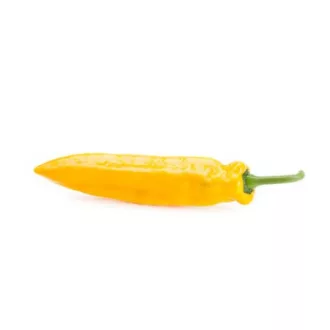   Paprika Palermo Yosemite F1 (35-527) RZ Dulce Italiano - 1000 szem