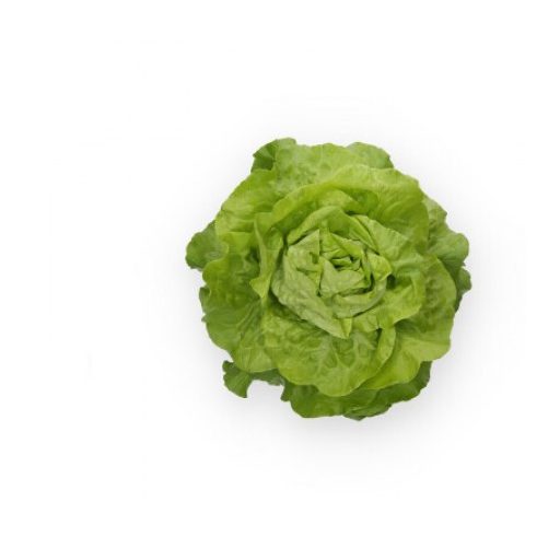 Saláta Transpero (43-BU7300) RZ - 5000 szem