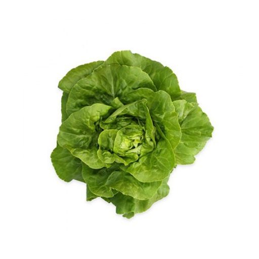 Saláta Pierina (43-295) RZ - 1000 szem