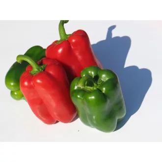 Paprika Gigant F1 Blocky Piros ZKI - 500 szem