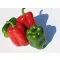 Paprika Gigant F1 Blocky Piros ZKI - 500 szem