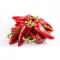 Paprika Atris F1 Kápia Nunhems - 1000 szem