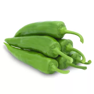 Paprika Green Mamba F1 ZKI - 500 szem