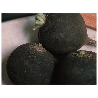 Retek Erfurti Kerek Fekete - 50g