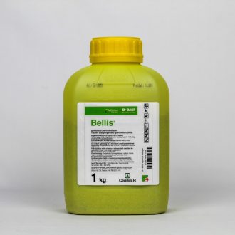 Bellis - 1 kg