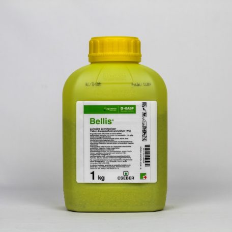 Bellis - 1 kg - Profi kertészek, profi webáruháza