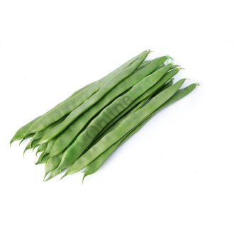 Bab Faiza F1 RZ (17-631) - 1000 szem