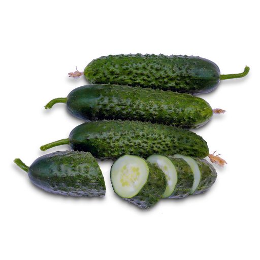 Uborka Cassius F1 ZKI - 500 szem