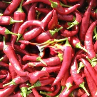 Paprika Zitava Semo - 1000 szem