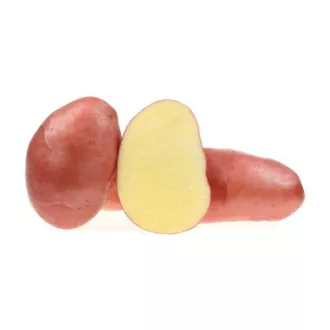Minigumó Desiree - 50 szem
