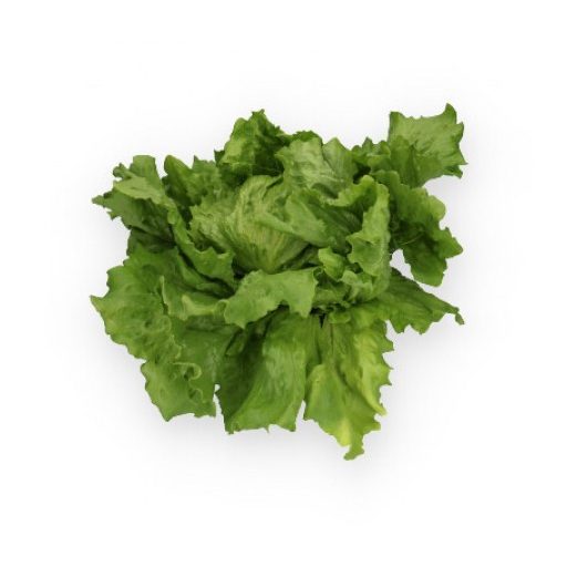 Saláta Altozanas (45-IC2921) RZ Jégsaláta - 1000 szem