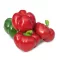 Paprika Bihar F1 Pritamin ZKI - 5000 szem