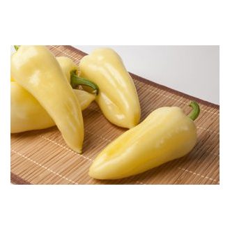 Paprika Celtic F1 Orosco - 500 szem