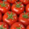 Paradicsom Boderine F1 Syngenta - 500 szem