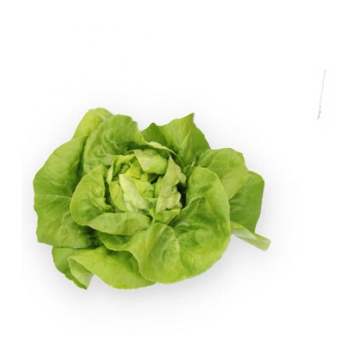 Saláta Beduina (43-BU8601) RZ - 5000 szem