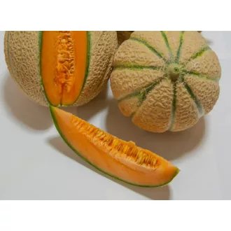 Sárgadinnye Tarchon F1 Precíziós Nunhems - 500 Szem