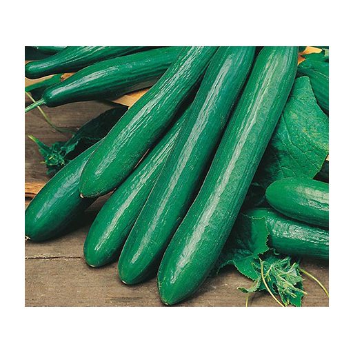 Uborka Saturn F1 ZFW - 100 szem