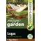 Fűmag Lugas Agro-Largo - 1kg
