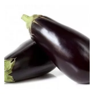 Tojásgyümölcs Aragon F1 Hazera Genetics - 1.000 szem