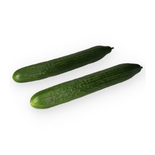 Uborka Carapaz F1 (24-HT014) RZ - 100 szem